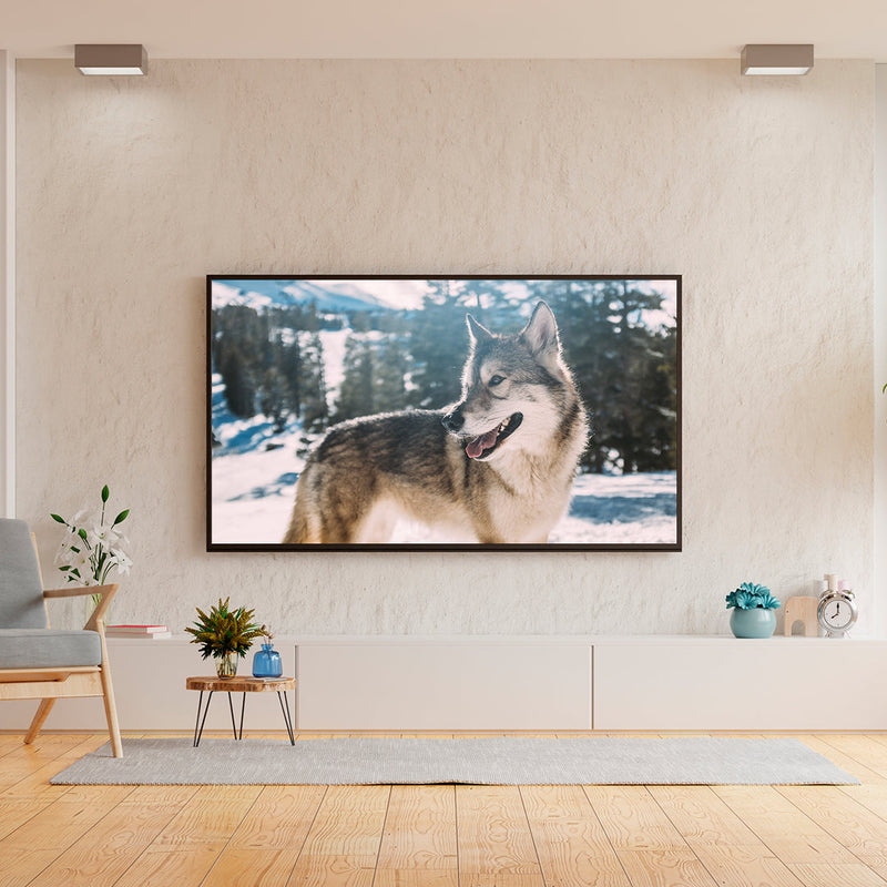 Wolff - Smart TV 55'' Ultra HD 4K Android 11.0 WIFI Bluetooth WTV55SVB